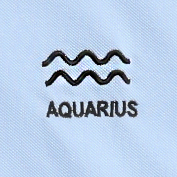 Polo Collar T-Shirt for Men – Aquarius Zodiac Edition (Sky Blue) - Image 4